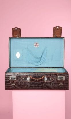 n4957_valise_1940_1950_croco_pic001
