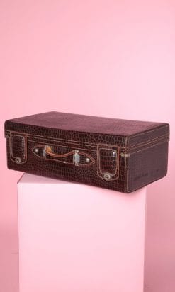 n4957_valise_1940_1950_croco_pic001