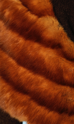 nA5020-Manteau-de-femme-1930-en-lainage-marron-avec-large-col-en-fourrure-t36-01