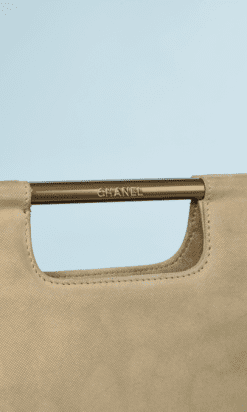 na9083-Petit-sac-du-soir-Chanel-en-peau-irisé-01-1.png