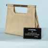 na9083-Petit-sac-du-soir-Chanel-en-peau-irisé-01-1.png