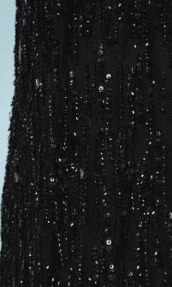 B0265-Robe-Lanvin-en-tulle-noir-brodé-de-paillettes-doublure-en-soie-broches-en-strass-t-40-42-01