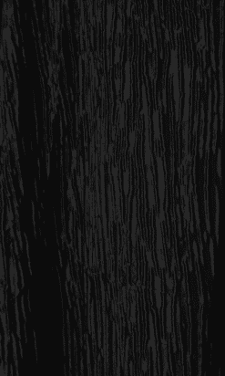 B0682-Jupe-Hanaé-Mori-en-soie-plissé-noir-T36-001.