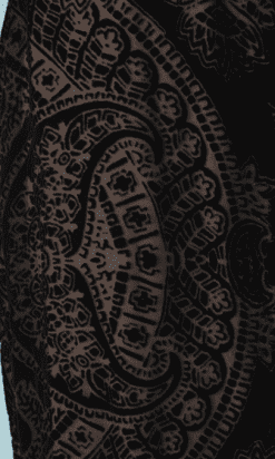 B2626-Robe-longue-Roberto-Cavalli-en-velours-dévoré-noir-T38-01.