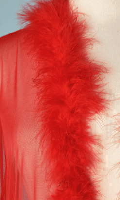 B2635-300E-Long-déshabillé-en-nylon-rouge-et-plumes-rouges-T38-01