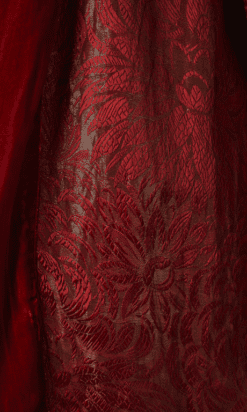 B4512-Manteau-1920-en-velours-et-brocard-rouge-or-T38-001